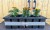 IMG_7883.jpeg