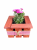 ChatGPT Image 22 kwi 2026, 13_49_49.png